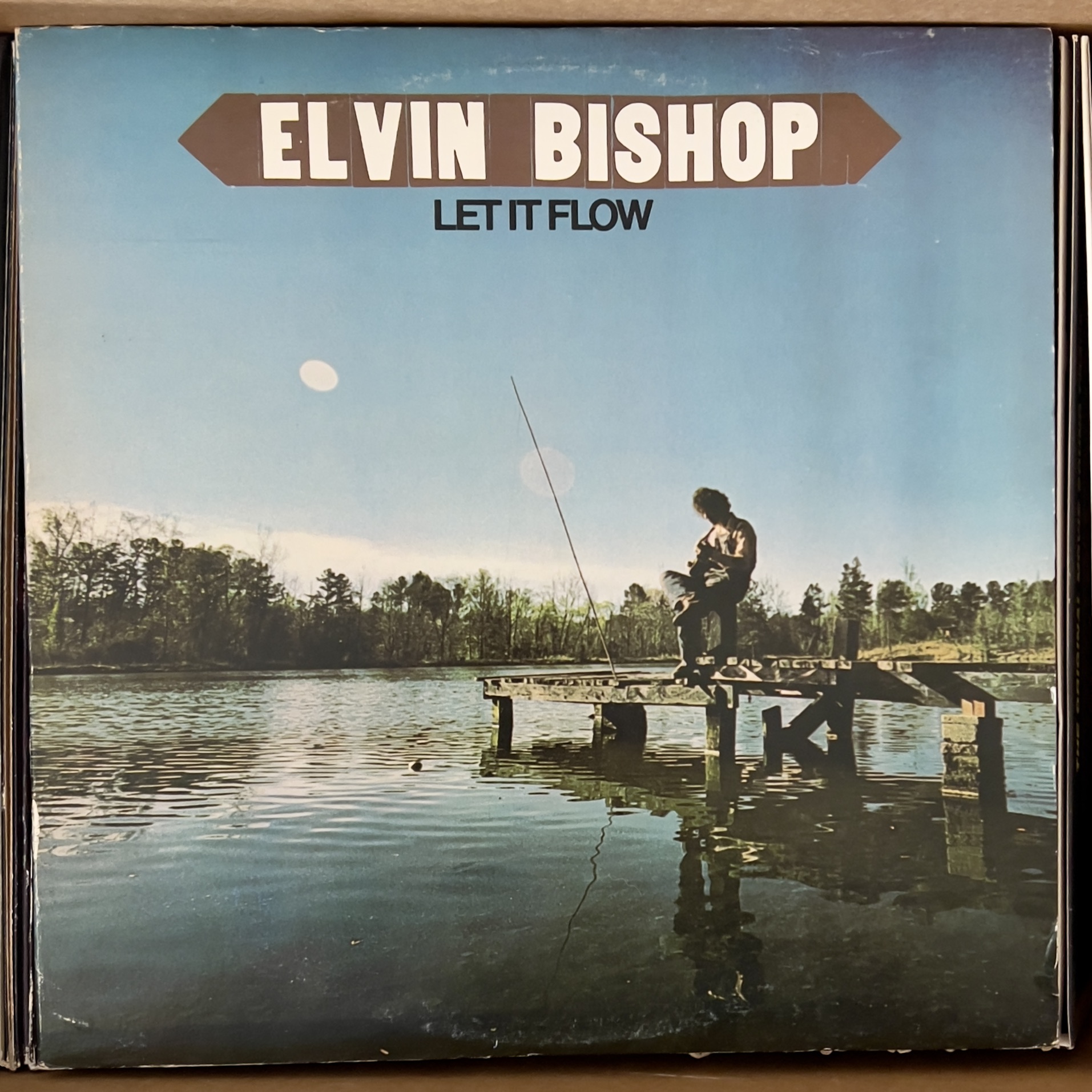 Let It Flow by Elvin Bishop