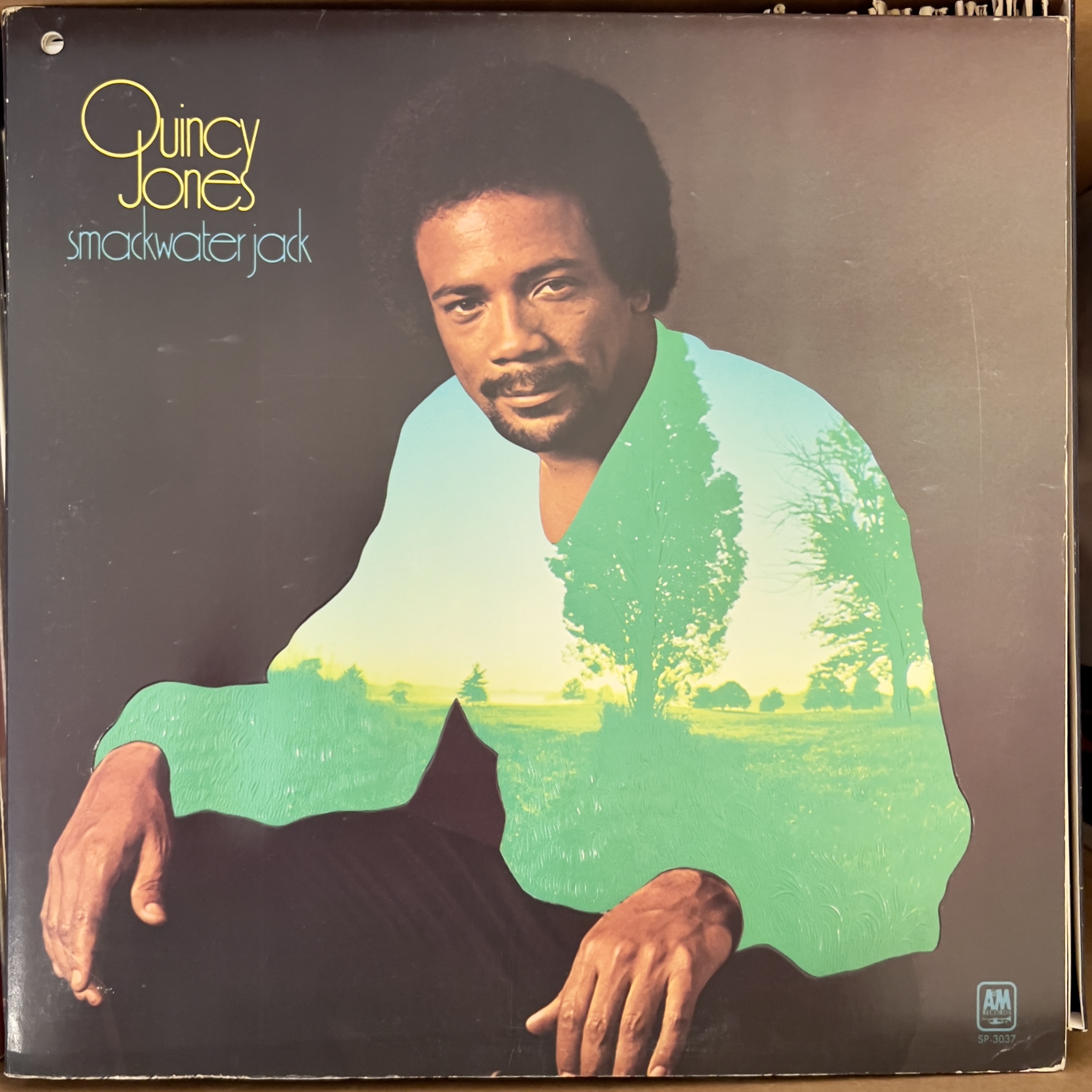 Smackwater Jack by Quincy Jones
