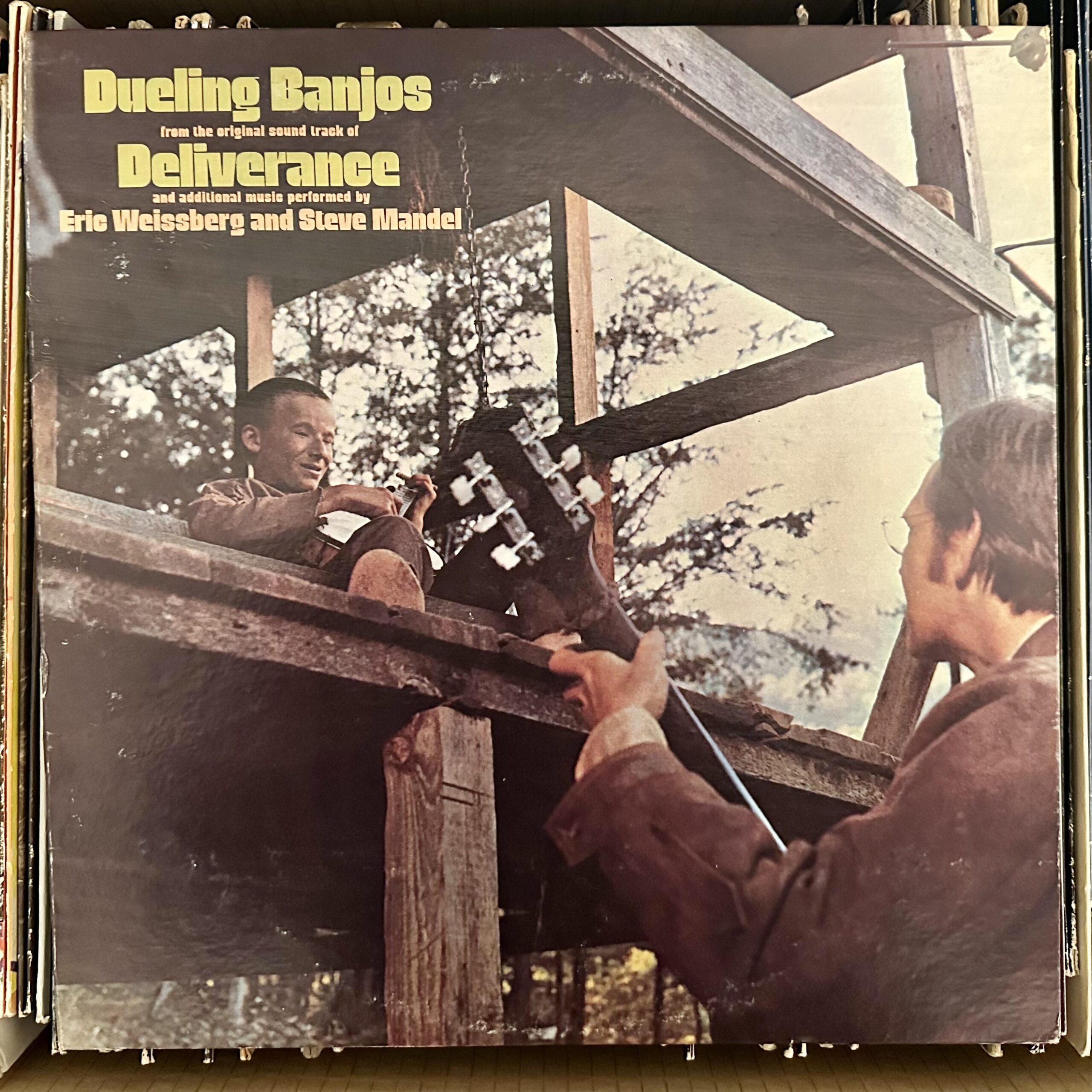 Dueling Banjos by Eric Weissberg and Steve Mandell