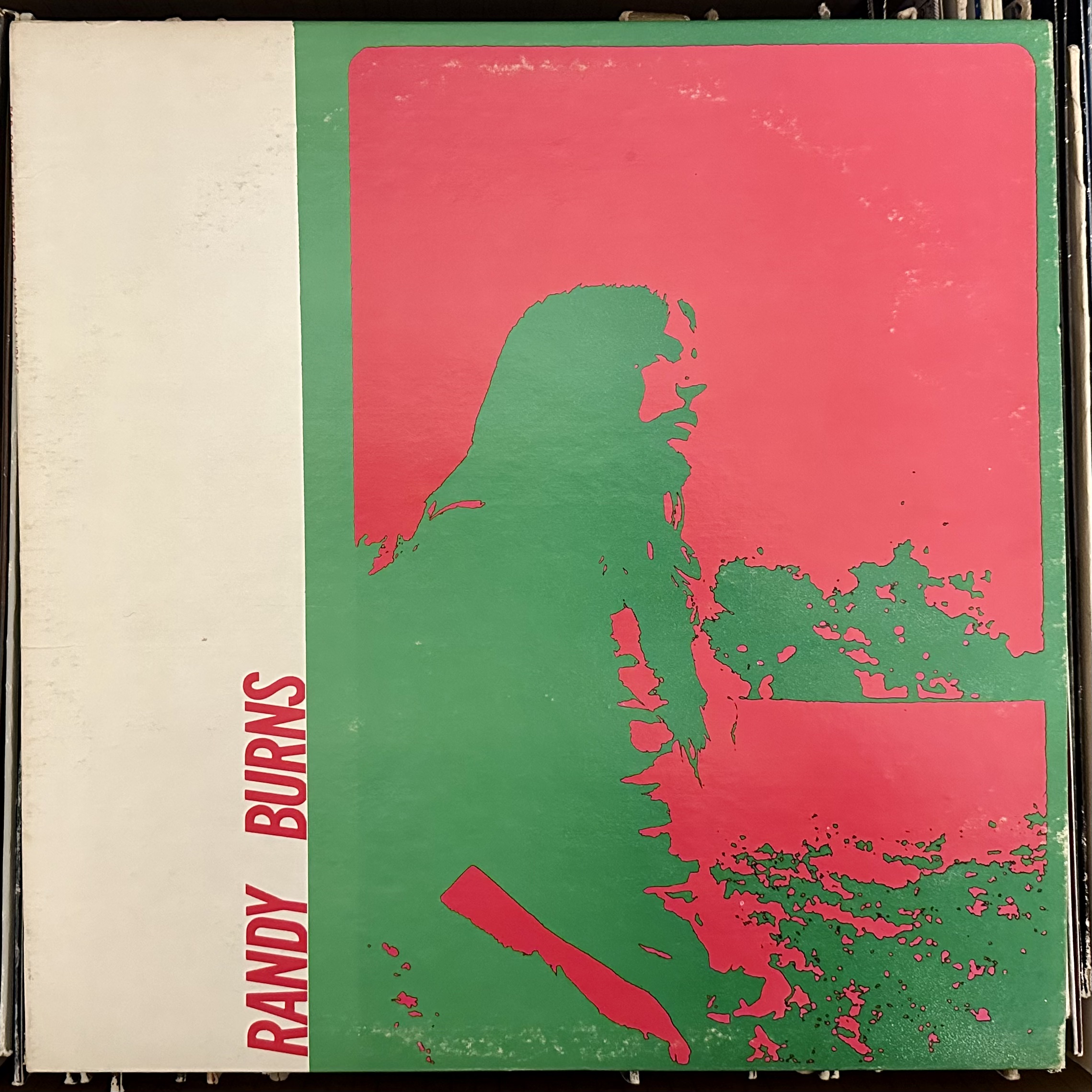 Song For An Uncertain Lady by Randy Burns